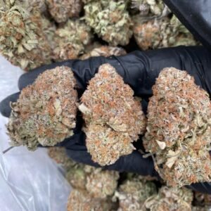 Platinum Bubbas