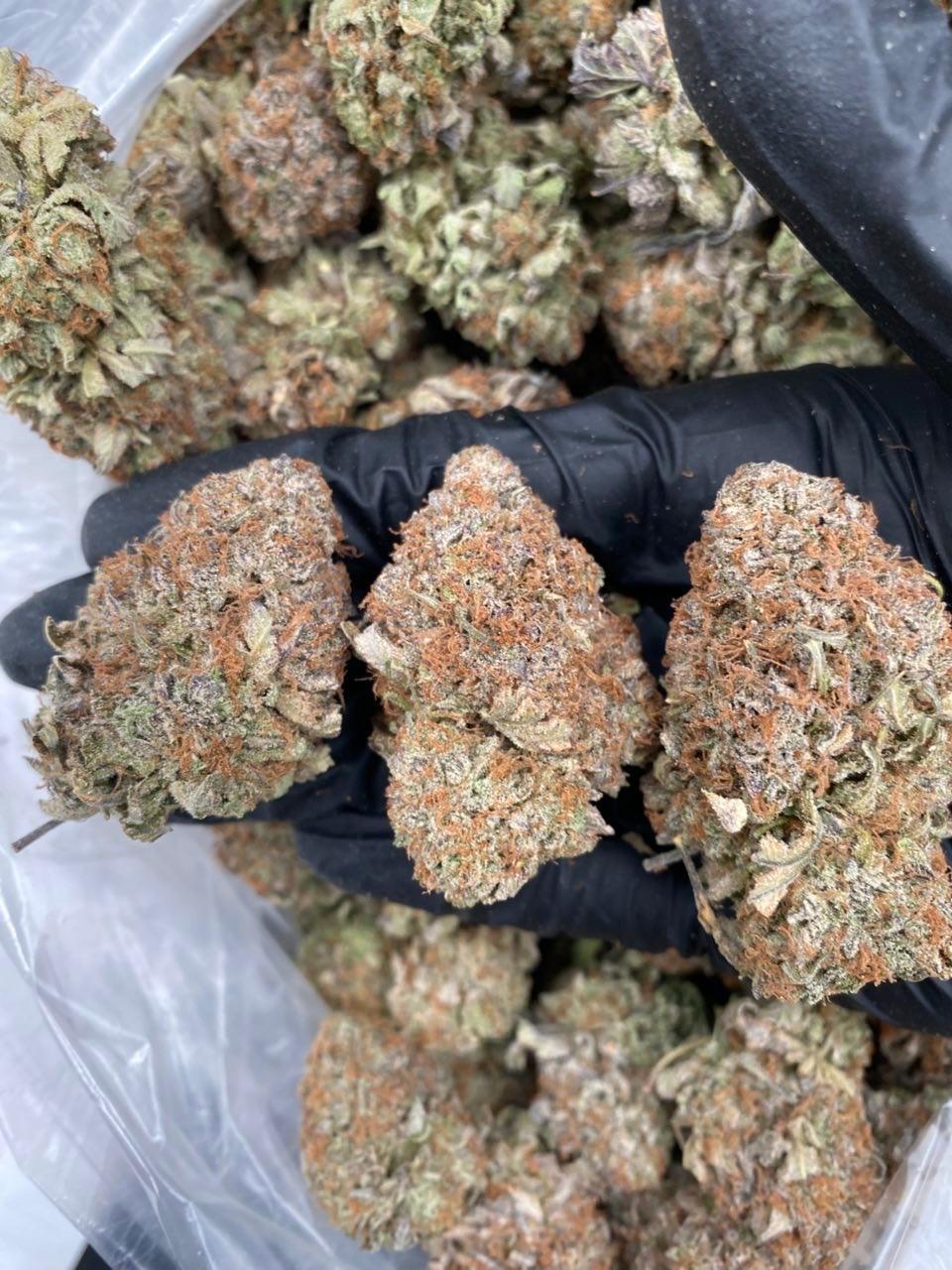 Platinum Bubbas